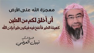 صورة أنى أخلق لكم من الطين كهيئة الطير فأنفخ فيه فيكون طيراً بإذن الله | نبيل العوضي