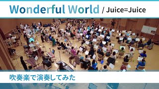 【演奏してみた】Wonderful World ／ Juice=Juice