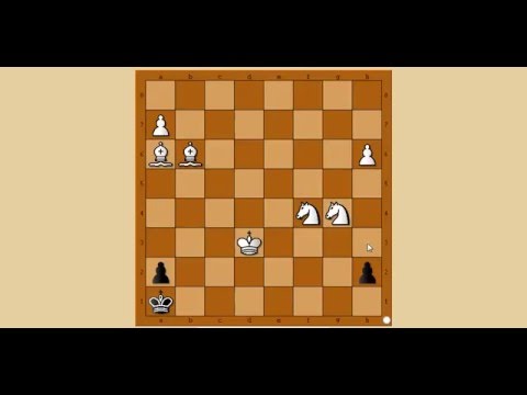 Šahovski problem 25 - Beli igra i matira - Lioumjinov vs Martien