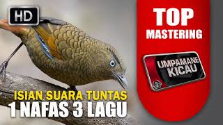 Download lagu jadi incaran juri isian suara tuntas 1 nafas 3 lagu mp3 Download lagu jadi incaran juri isian suara tuntas 1 nafas 3 lagu mp3