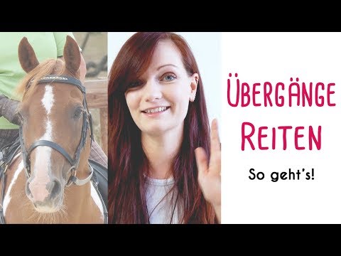 Übergänge reiten - So klappt's & Lösungen für typische Probleme!
