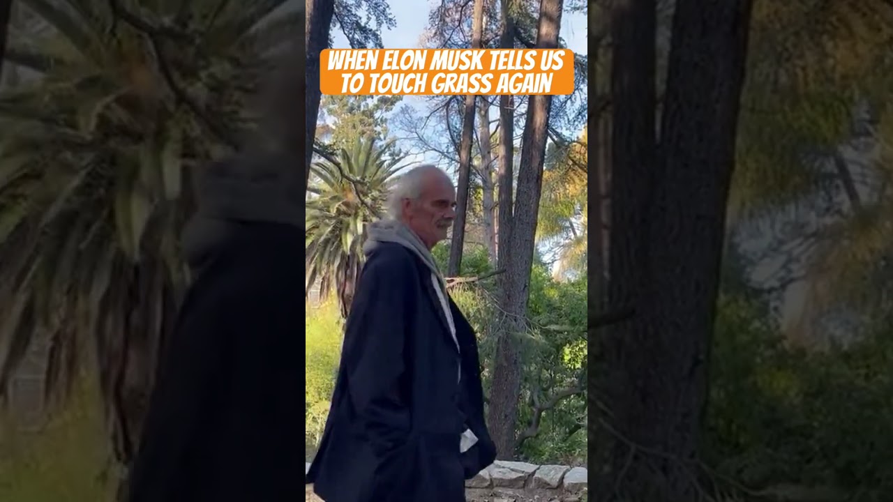 😎 #twittertrends #dbiuniverse #thedev #elonmusk #twitter #fun