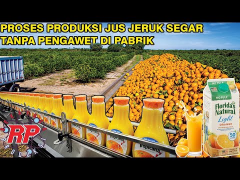 PROSES PRODUKSI PEMBUATAN JUS JERUK SEGAR DI PABRIK MODERN TANPA PENGAWET