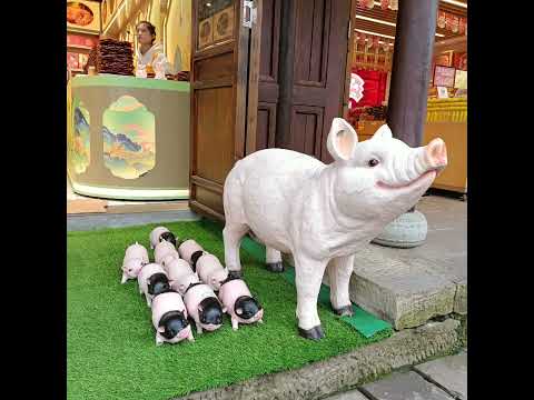 Ciqikuo Ancient Town, Chongqing