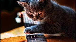 Trying to do the right thing