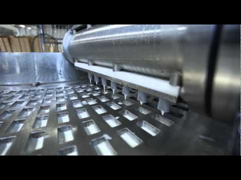 ZB 26ser  - KĀ TOP Saldējums Pols