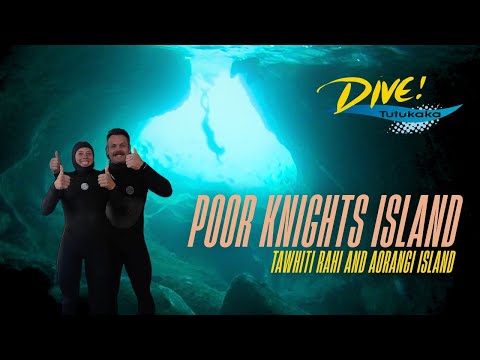 We Dived One of the BEST Dive Spots in the World 🌍 (No Filter Needed!)