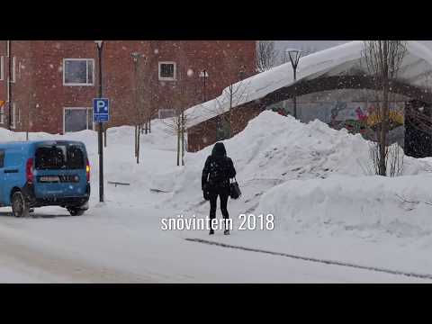 Snövinter i Timrå 2018
