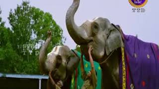 Chaalada Maa Janmamu - Annamacharya Sankeertans - Priya Sisters