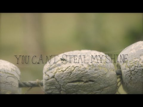 You Can't Steal My Shine