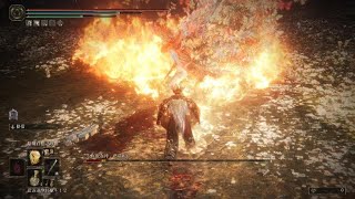 [法環] 熔爐百相的禱告算好用嗎？