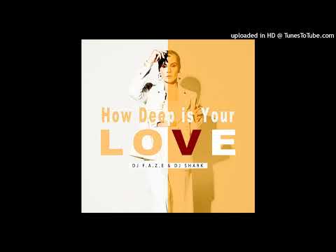 Dj F.A.Z.E ft Dj Shark - How Deep Is Your Love (Remix)
