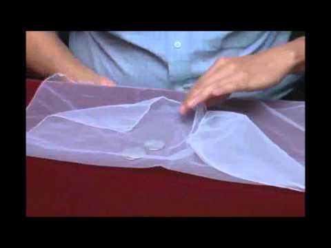 flipper half dollar pro gravity w dvd d0089 by tango trick