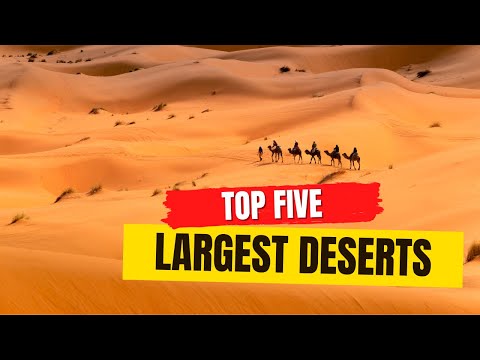 Which is the largest desert in the world