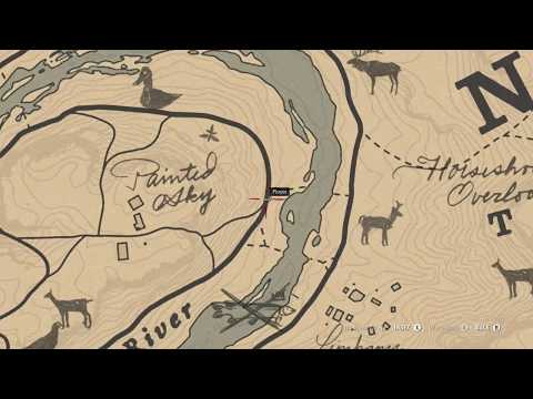 RDR 2: Getting an Oriole for Wildlife Art Exhibition III