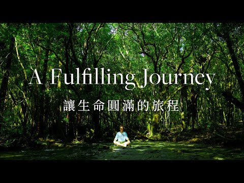 [屋久島 | Yakushima] A Fulfilling Journey | 讓生命圓滿的旅程 [Documentary] [4K]