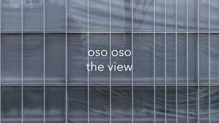 the view Music Video