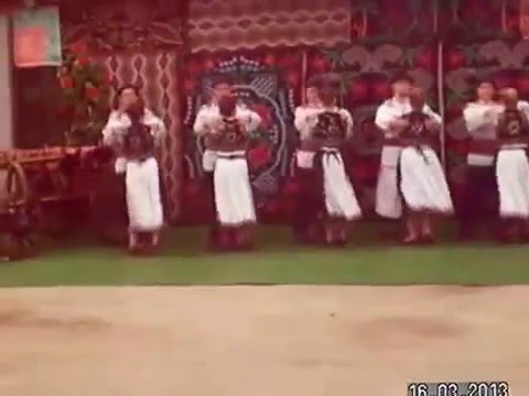 CRAISORII MOTILOR DIN TISA NOUA 1