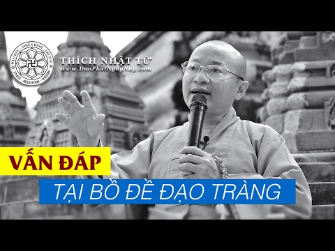 Vấn đáp: tại Bồ Đề Đạo Tràng (27/02/2014) - Thích Nhật Từ