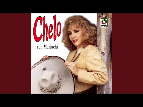 Mal Pagadora De Amores