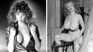 I Found the 1940s-1970s Studio Files They Tried to Burn