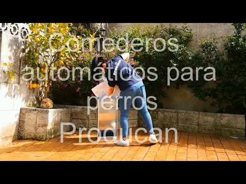Comedero automatico para perros producan