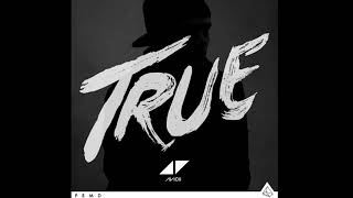 Avicii - Long Road To Hell
