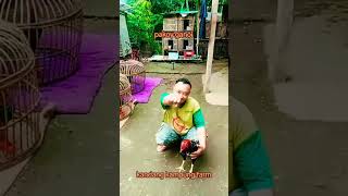 Download lagu muda belia mp3 Download lagu muda belia mp3