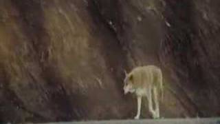 End Of Our Days [Trade]