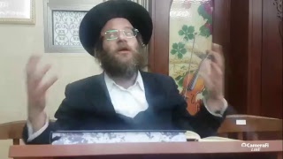 משיבת נפש פרשת האזינו עט | הרב צבי חלמיש שליט"א