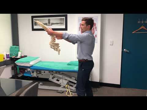 Exercises for Low Back Pain in Office Workers - How to 'Fix' Back Pain