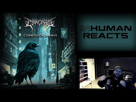 Compilation of the year... hehe | INHUMAN REACTS TO: Cyanolyca Nanus