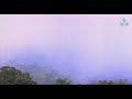 Enthan Vazhkaiyin Artham Video Song Chinna Kannamma
