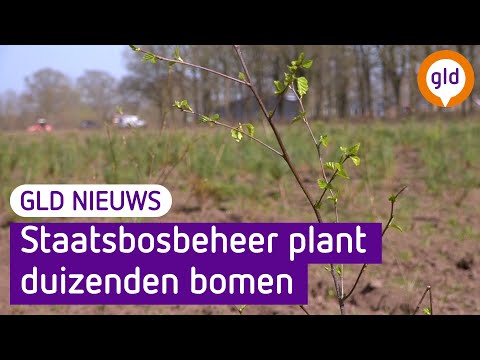 GLD Nieuws 4 april 2021