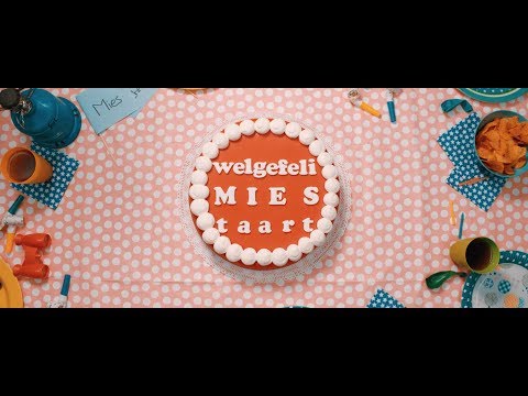WelgefeliMiesTaart - Een wijze les van je zomerliefde... (BLIK film)
