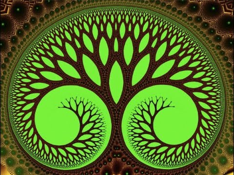 Ecstatic Dance Set ~ w/ live Percussion and Violin