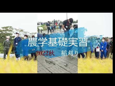【食・農・ビジネスを学ぶ食の総合大学】農学基礎実習