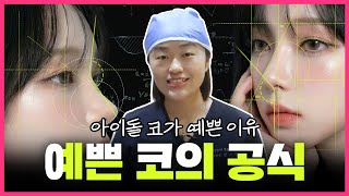 아이돌 코 복붙 가능? 내게 맞는 예쁜 코는? 🤔
