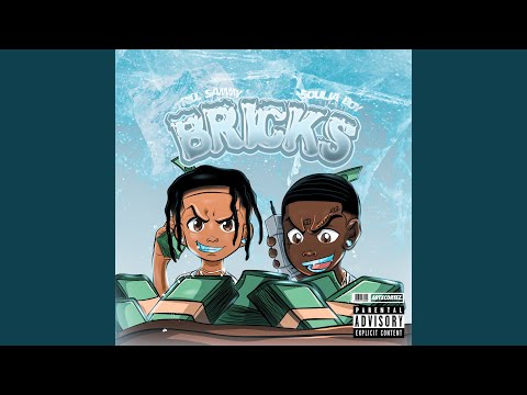 Bricks