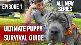 Episode 1: TOTALLY UNTRAINED — Ultimate Puppy Survival Guide
