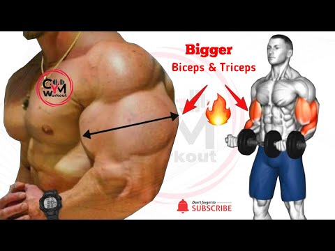 💪 “6 Best Workouts for Bigger Biceps and Triceps”