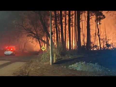 𝗜𝗻𝗰𝗲̂𝗻𝗱𝗶𝗼 𝗱𝗲 𝗴𝗿𝗮𝗻𝗱𝗲𝘀 𝗽𝗿𝗼𝗽𝗼𝗿𝗰̧𝗼̃𝗲𝘀 𝗮𝘀𝘀𝘂𝘀𝘁𝗮 𝗺𝗼𝗿𝗮𝗱𝗼𝗿𝗲𝘀 𝗲𝗺 𝗦𝗮𝗻𝘁𝗮 𝗖𝗿𝘂𝘇 𝗱𝗮𝘀 𝗣𝗮𝗹𝗺𝗲𝗶𝗿𝗮𝘀-𝗦𝗣