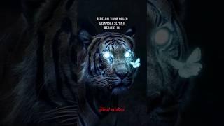 Download lagu story wa jibril khodam harimau mp3
