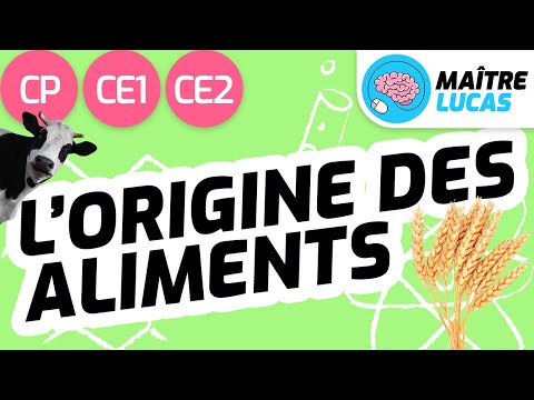 L'origine des aliments CP - CE1 - CE2 - Cycle 2 - Questionner le monde
