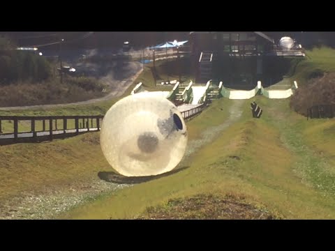 image-Where can you go zorbing in the US? 