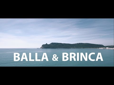 Brinca - Balla e Brinca [Official Music Video]