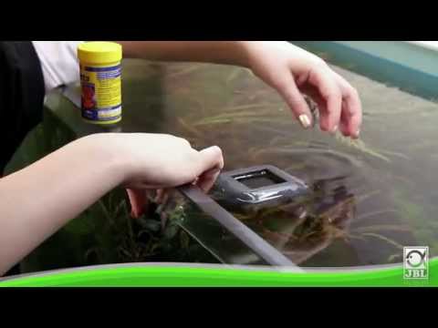 JBL NovoStation ормушка, подстраивающаяся под изменяющийся уровень воды в аквариуме