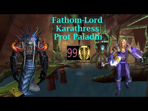 Karathress Prot Paladin POV 99 Parse - TBC Classic