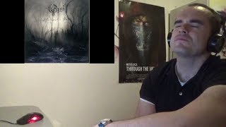 Opeth - The Drapery Falls Reaction     Prog Saturday