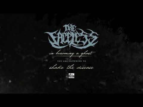 THE FACELESS  - Shake The Disease